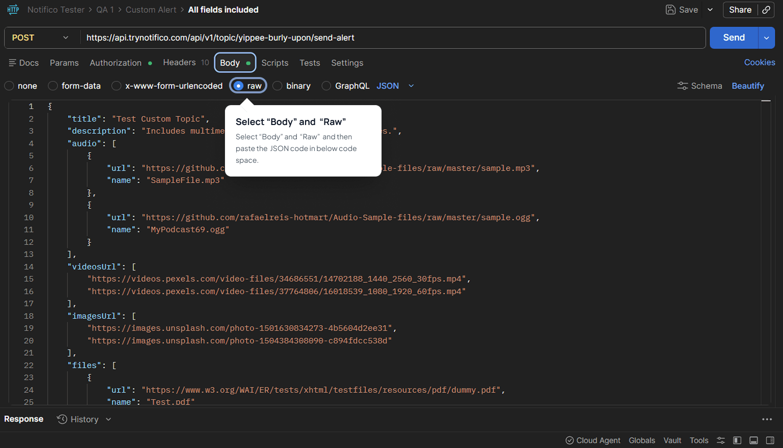 Postman configuration with POST method and body settings