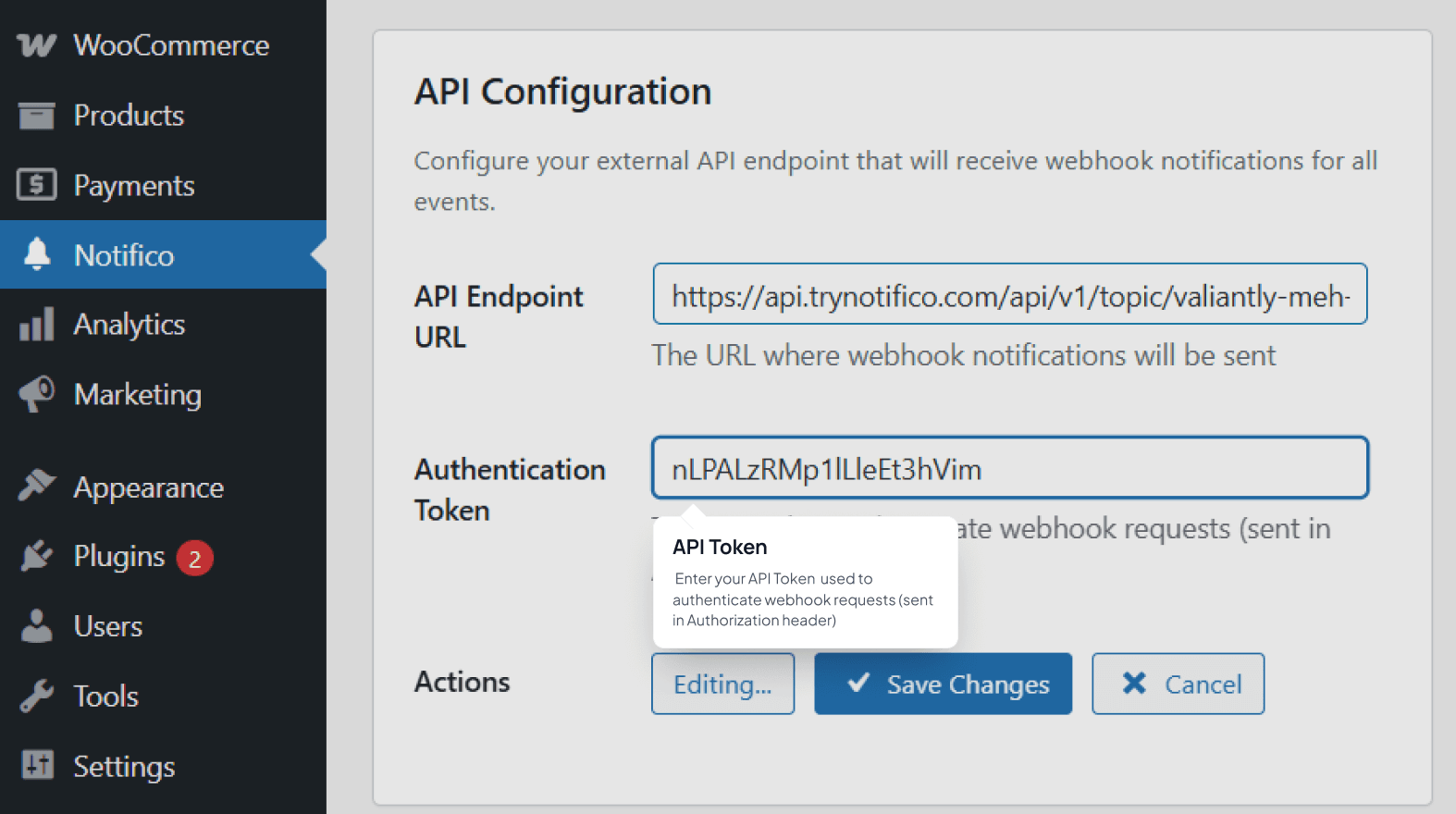 Plugin configuration fields for API URL and Token